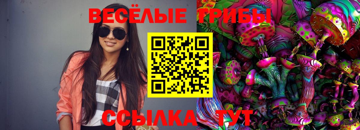 Псилоцибиновые грибы Magic Shrooms Кемерово